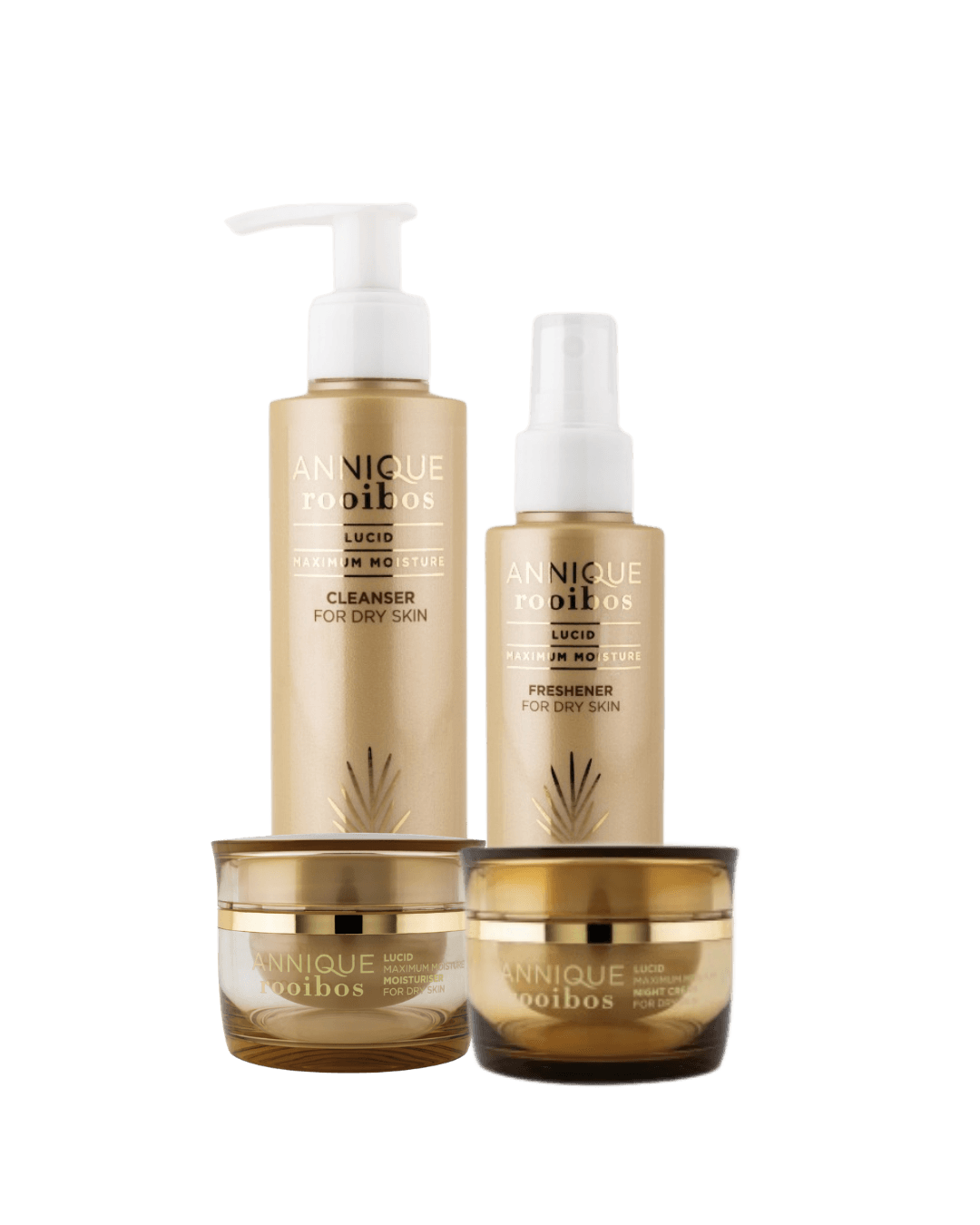Lucid | Combo – 4 Products